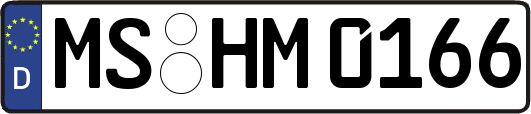 MS-HM0166