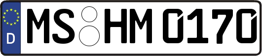 MS-HM0170