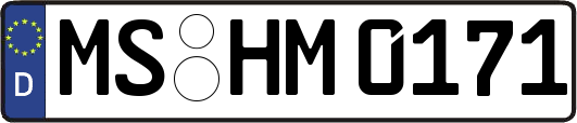MS-HM0171