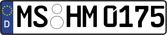 MS-HM0175