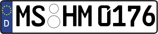 MS-HM0176