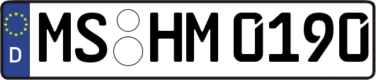 MS-HM0190