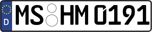 MS-HM0191