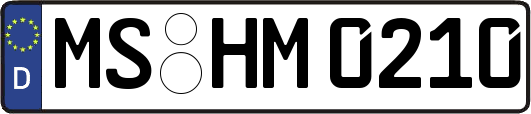 MS-HM0210
