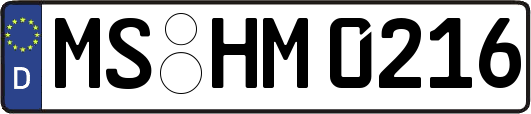 MS-HM0216