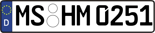 MS-HM0251