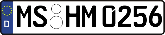 MS-HM0256
