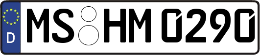 MS-HM0290