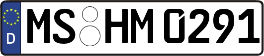 MS-HM0291