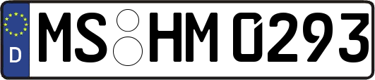 MS-HM0293