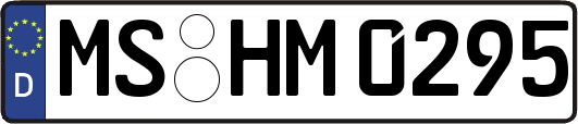 MS-HM0295