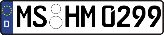 MS-HM0299