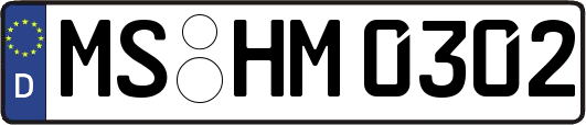 MS-HM0302