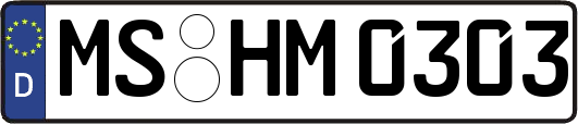 MS-HM0303