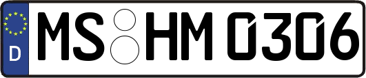 MS-HM0306