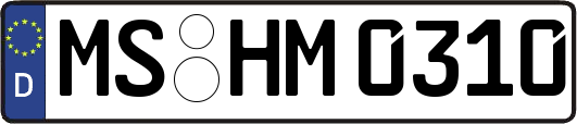 MS-HM0310
