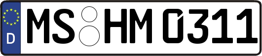MS-HM0311