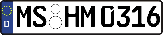 MS-HM0316