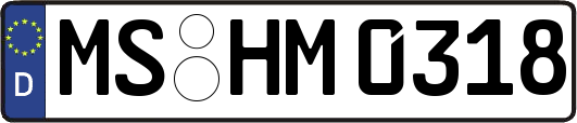 MS-HM0318