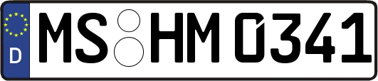 MS-HM0341