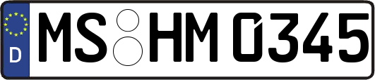 MS-HM0345