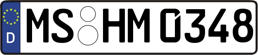 MS-HM0348