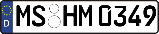 MS-HM0349