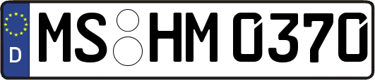 MS-HM0370