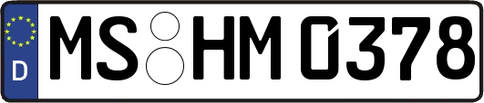 MS-HM0378