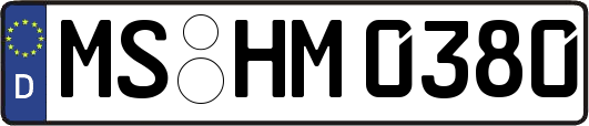 MS-HM0380