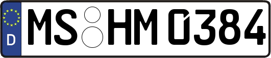 MS-HM0384