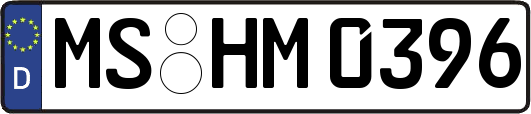 MS-HM0396