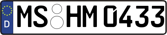 MS-HM0433