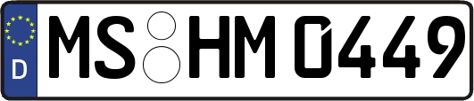 MS-HM0449