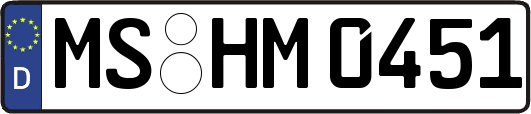 MS-HM0451
