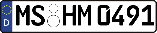 MS-HM0491