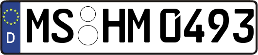 MS-HM0493