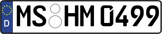 MS-HM0499