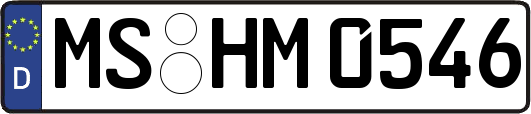 MS-HM0546