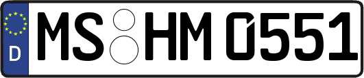 MS-HM0551