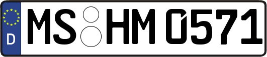 MS-HM0571