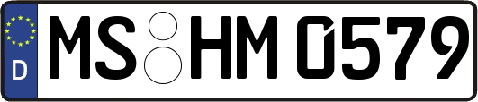 MS-HM0579