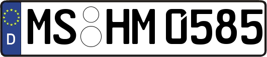 MS-HM0585