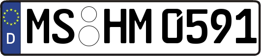 MS-HM0591