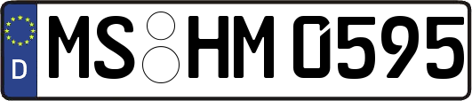 MS-HM0595