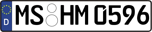 MS-HM0596