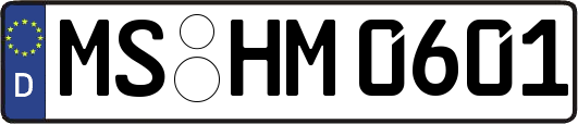 MS-HM0601