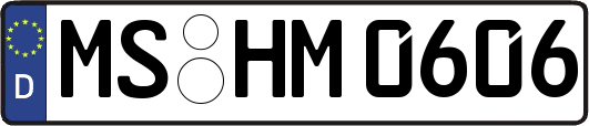 MS-HM0606