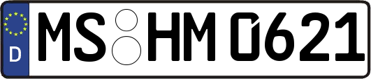 MS-HM0621