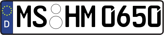 MS-HM0650